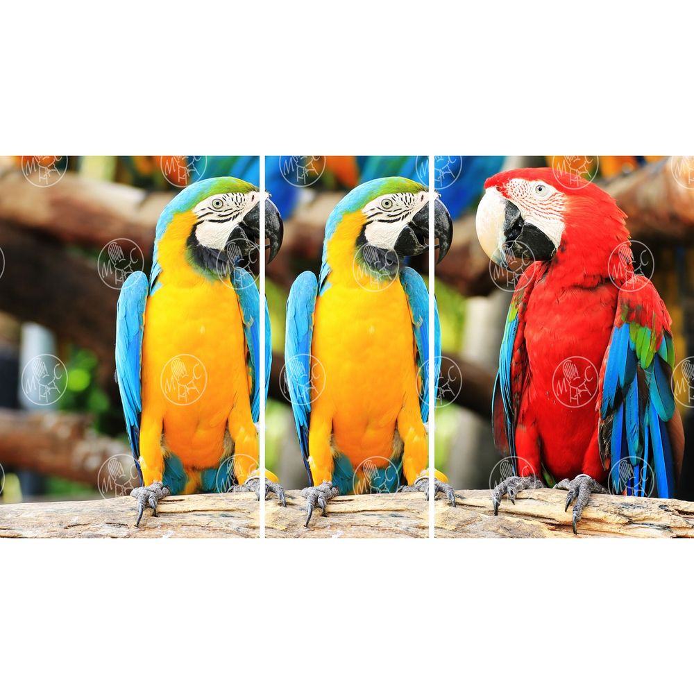 107587805 вид 1