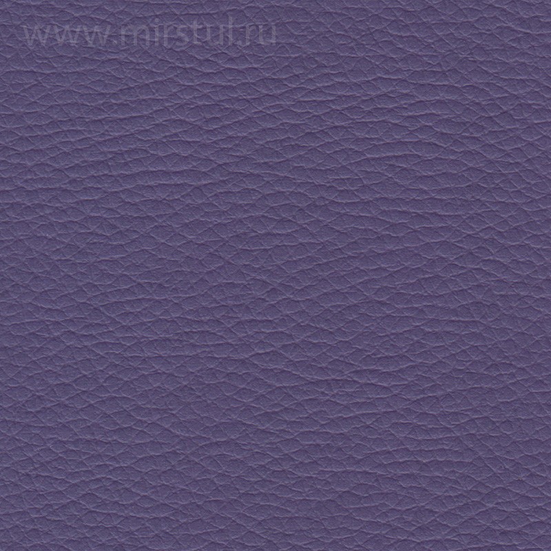 19 мс вид 1
