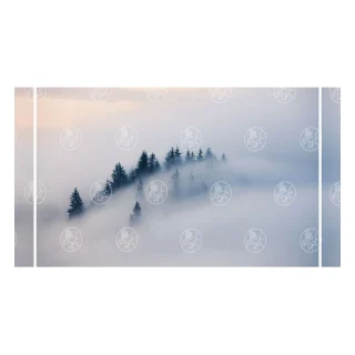 206880625 вид 2
