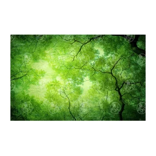 73134304 вид 2