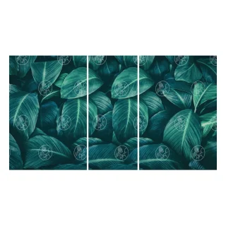 1241518057 вид 1