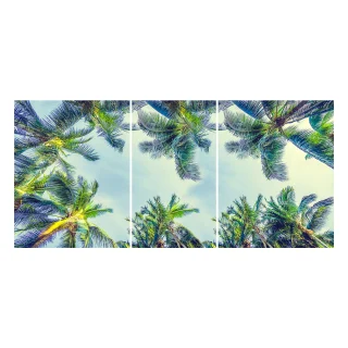 420650455 вид 2