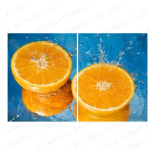 44265544 вид 1