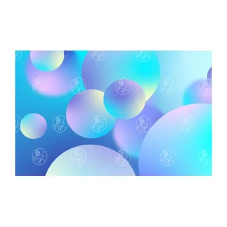 1181807533 вид 2