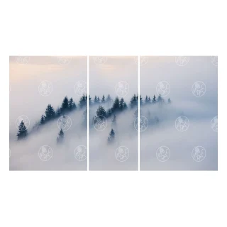 206880625 вид 1