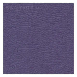 19 мс вид 1