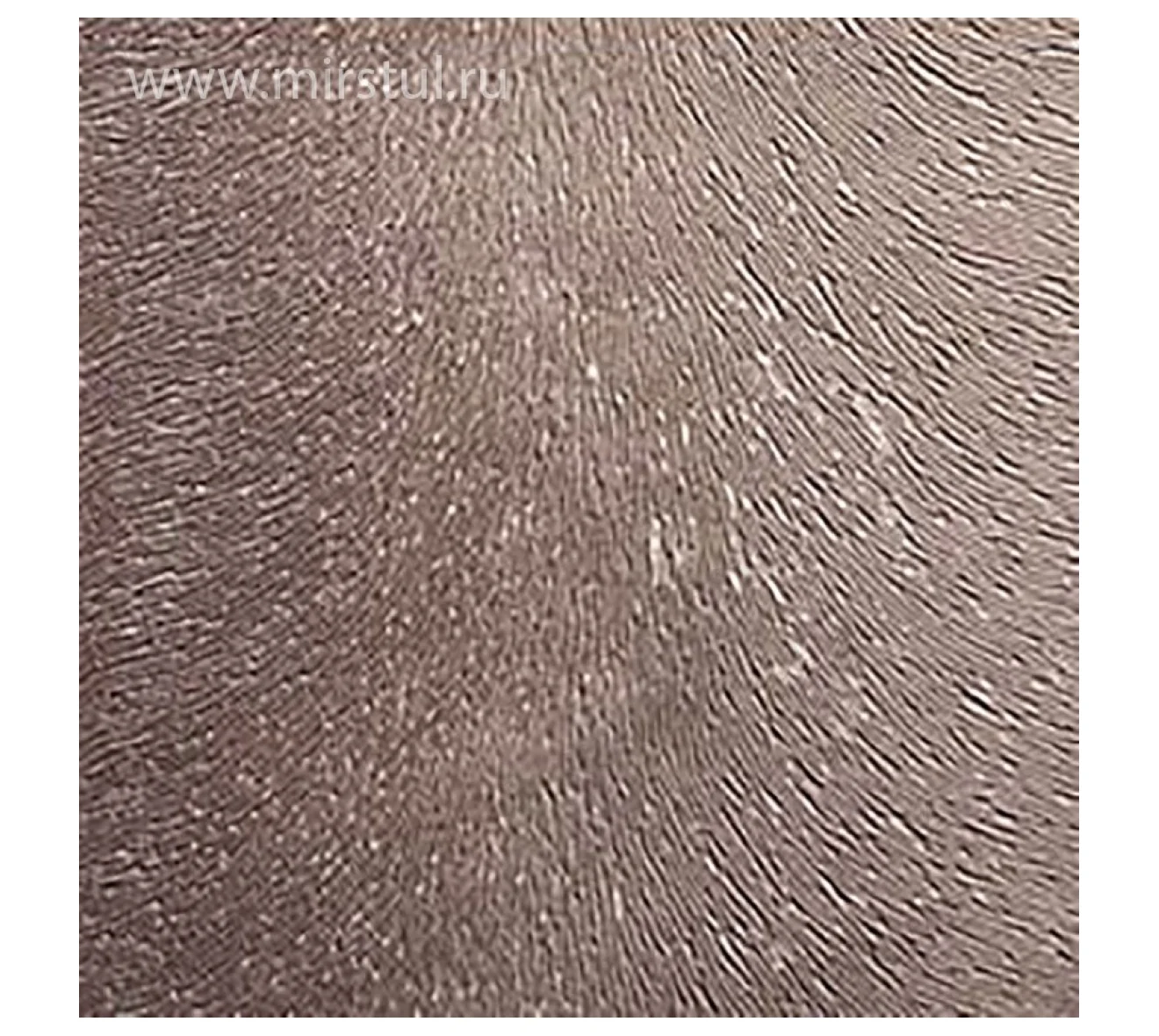 Taytuyu 3163