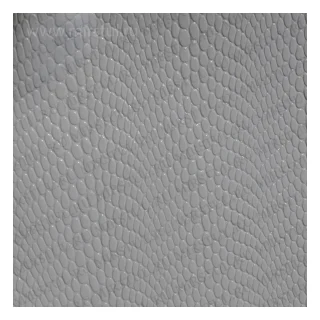 Cobra White вид 1